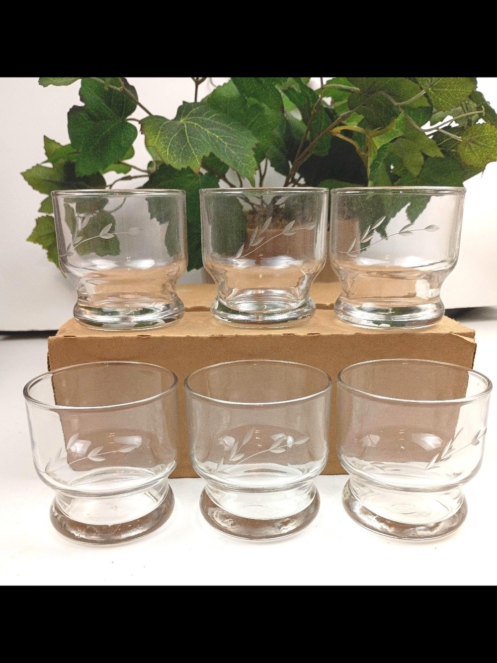 Princess House Clear Etched Glasses